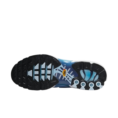 Requin Celestine blue
