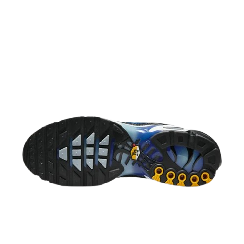 Requin Snake black and grey