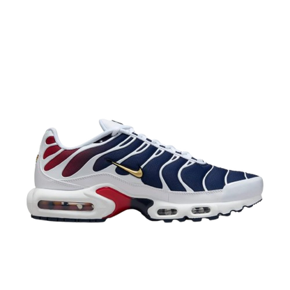 Requin Paris Saint-Germain