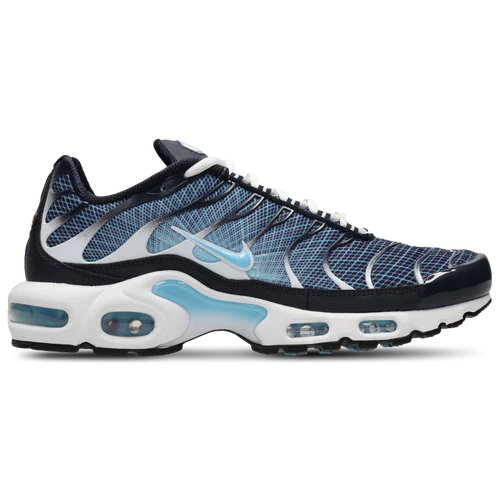 Requin Bleu électrique