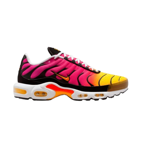 AM Plus Tropical