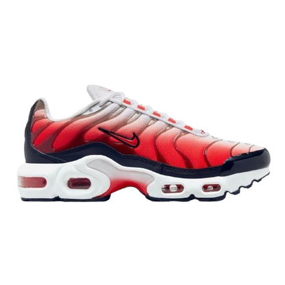 Requin Rouge Blanc Noir