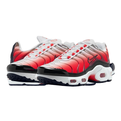 Requin Rouge Blanc Noir