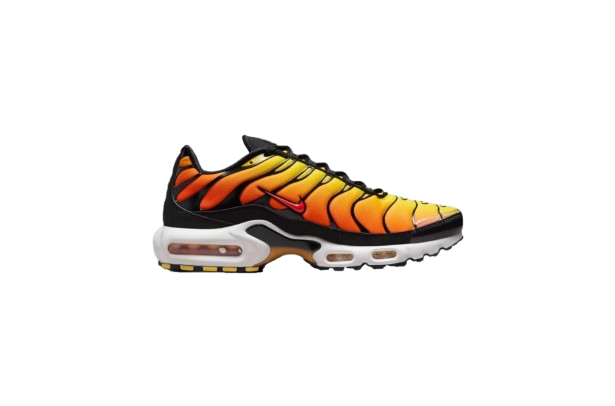 Requin OG SUNSET - ORANGE