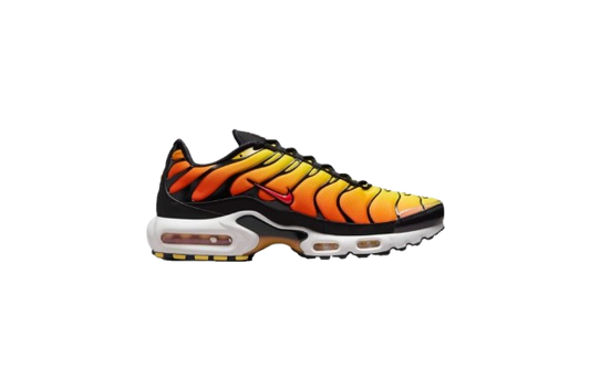 Requin OG SUNSET - ORANGE