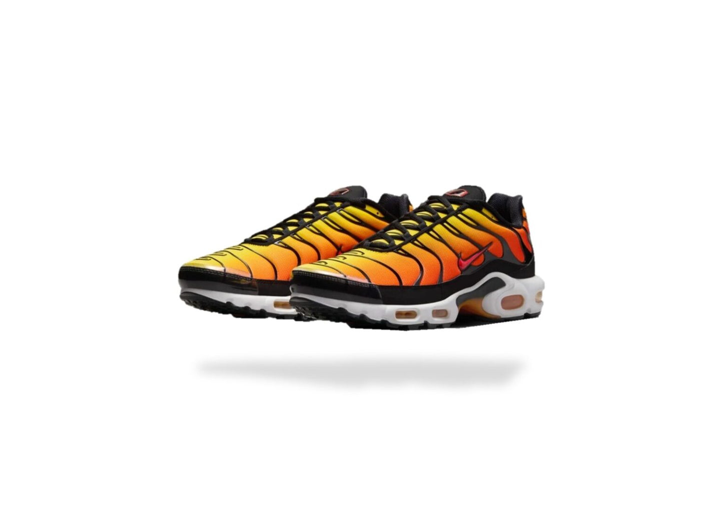 Requin OG SUNSET - ORANGE
