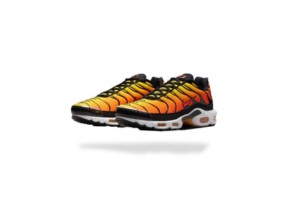 Requin OG SUNSET - ORANGE