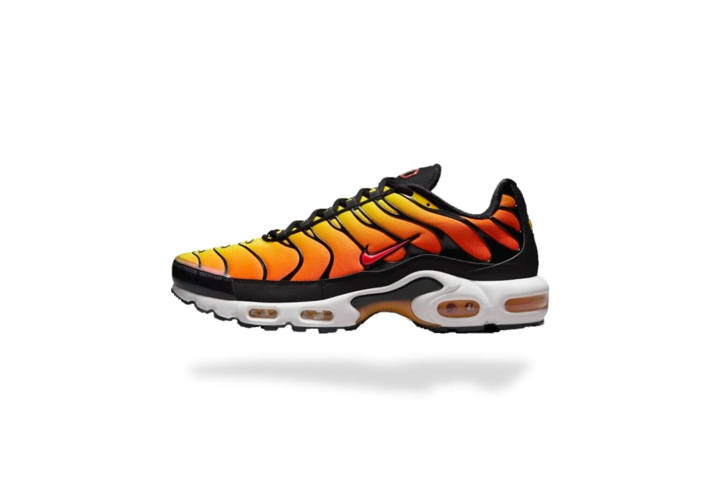 Requin OG SUNSET - ORANGE