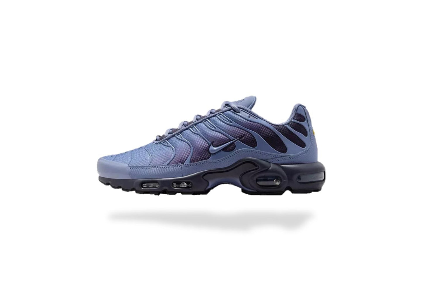 Requin WORLD INDIGO - BLEU, VIOLET
