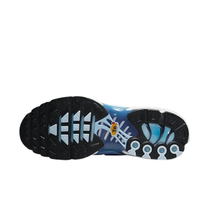 Requin Celestine blue