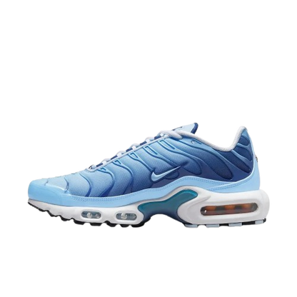 Requin Celestine blue