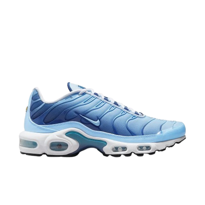 Requin Celestine blue