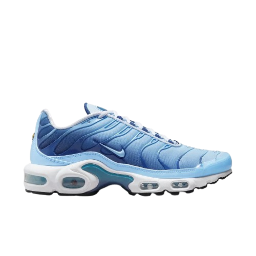 Requin Celestine blue