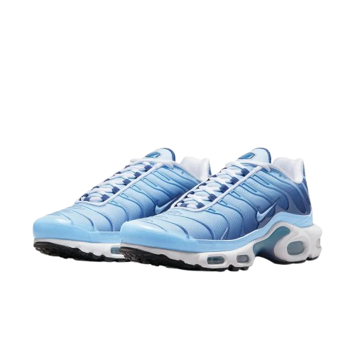 Requin Celestine blue