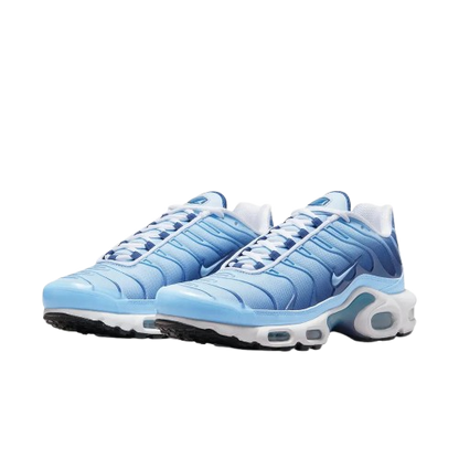 Requin Celestine blue