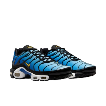 Requin Hyper blue