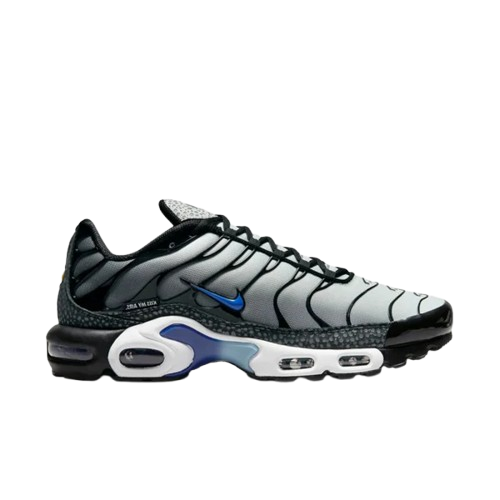 Requin Snake black and grey