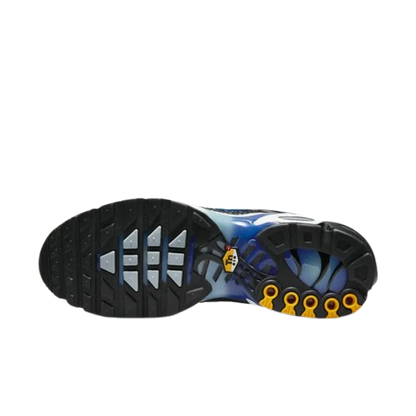 Requin Snake black and grey