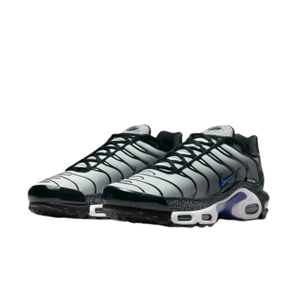 Requin Snake black and grey